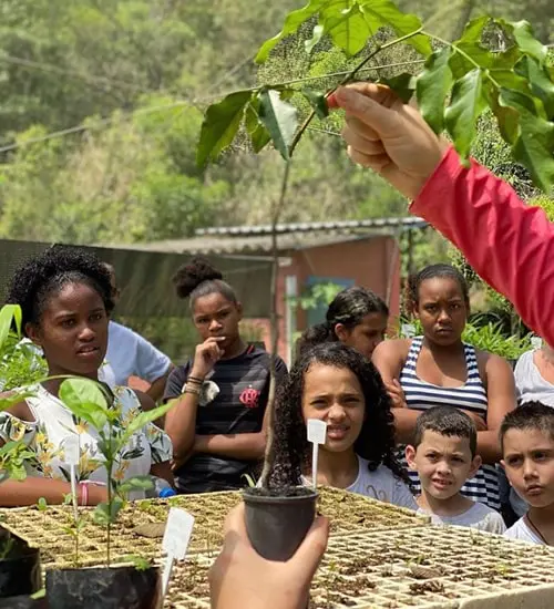 young teenagers learning outside
